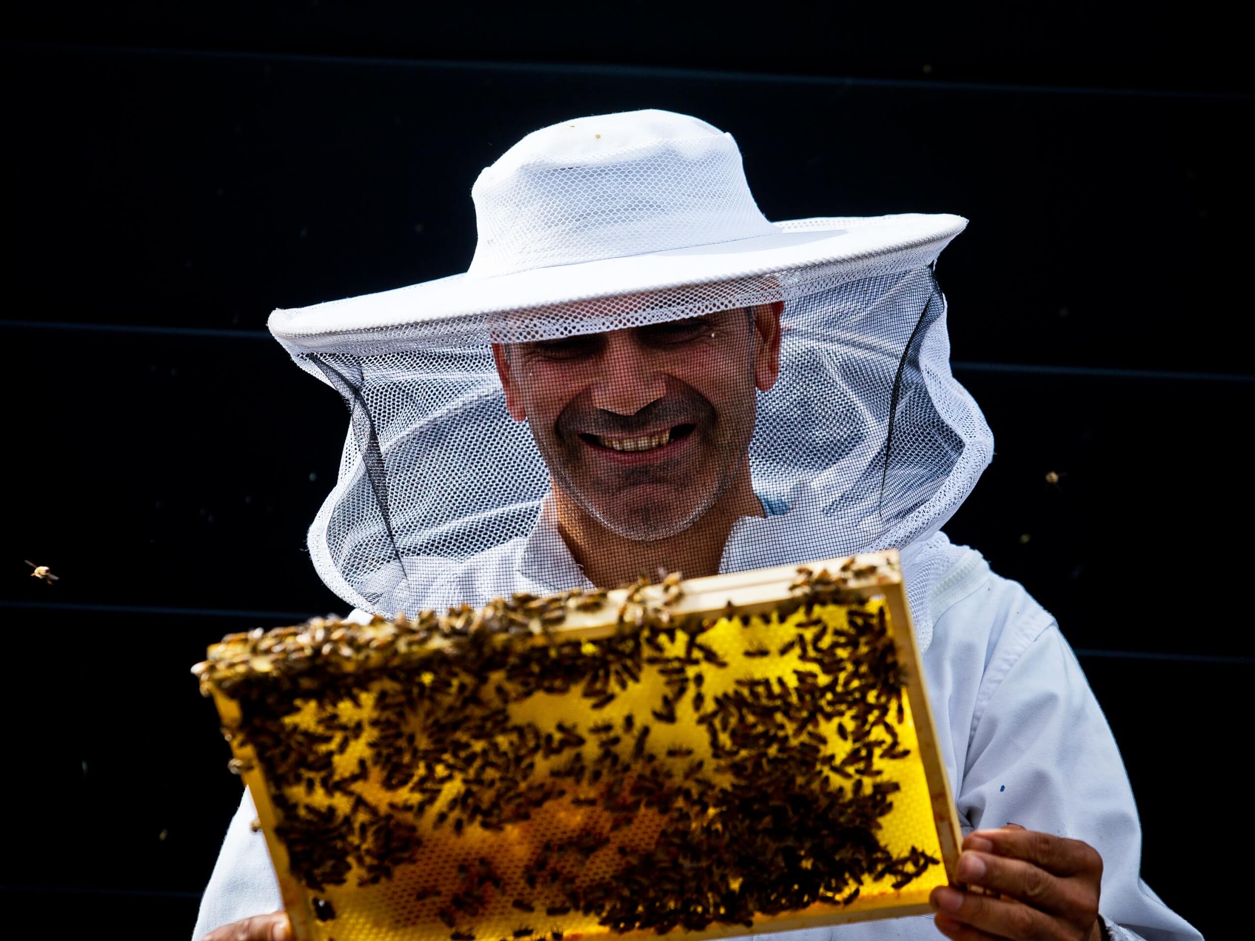 underviser løfte At læse Derfor er der bier på taget i Bellakvarter - Bellakvarter